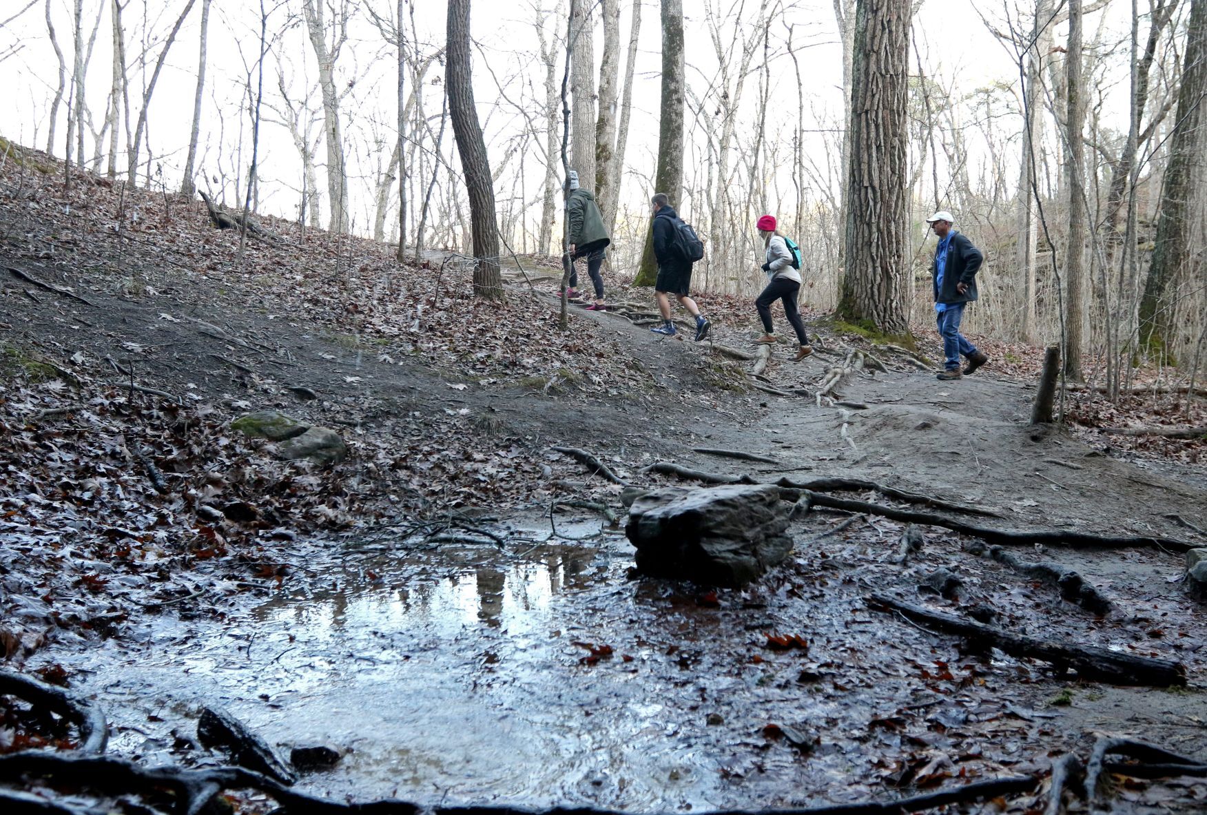 Best winter hikes in the St. Louis area